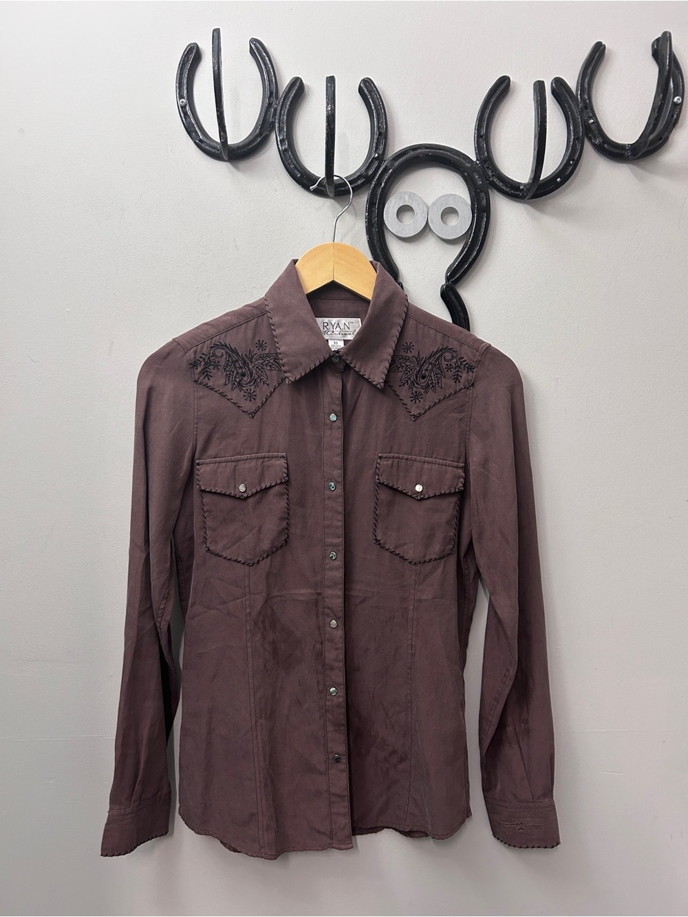 Ryan Michael Men's Embroidered Western Button-Down Shirt - Brown
